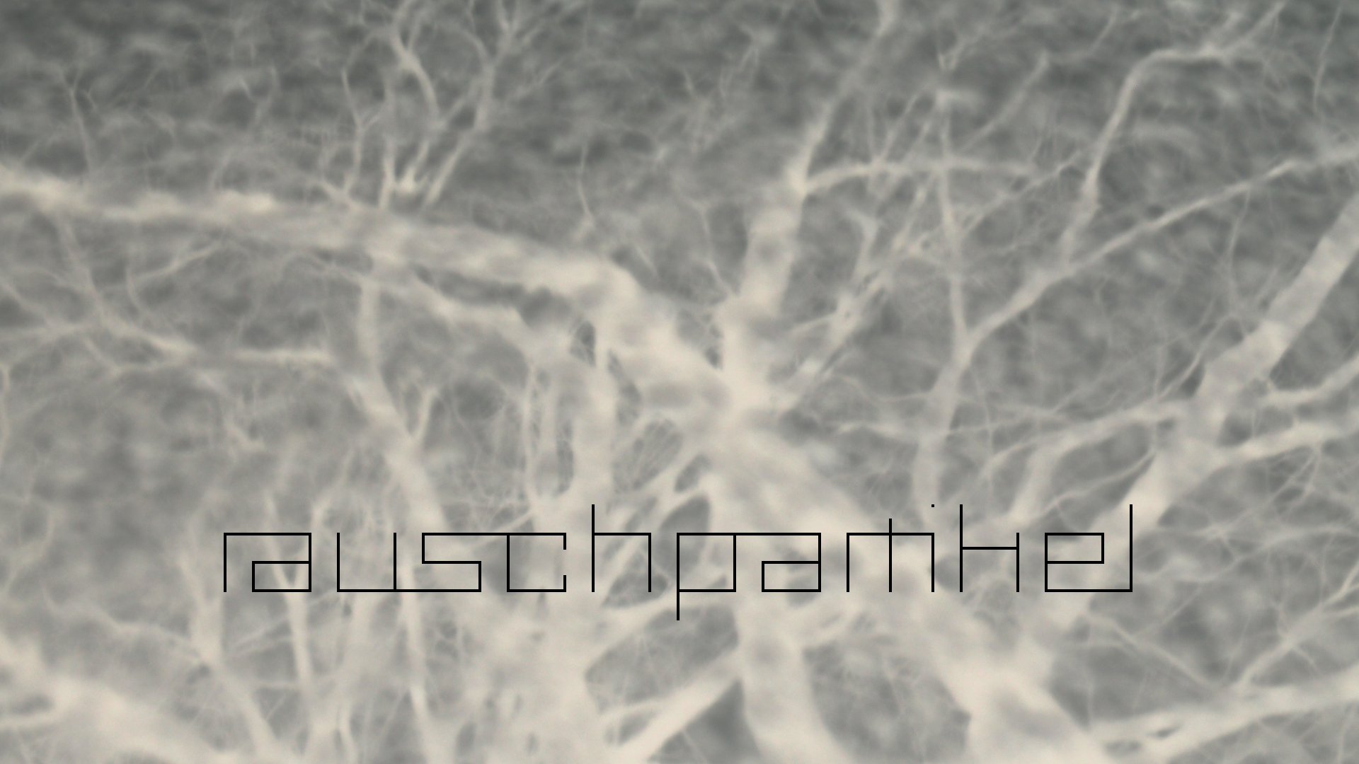 2021-01-06 - 08 Kühlgeträt (On/Off) (Remix John Cage - Empty Words IV)